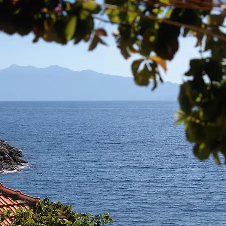 Seaside Secluded Apartments Cove Tvrdni Dolac Bay - Tvrdni Dolac 게스트하우스 Gdinj